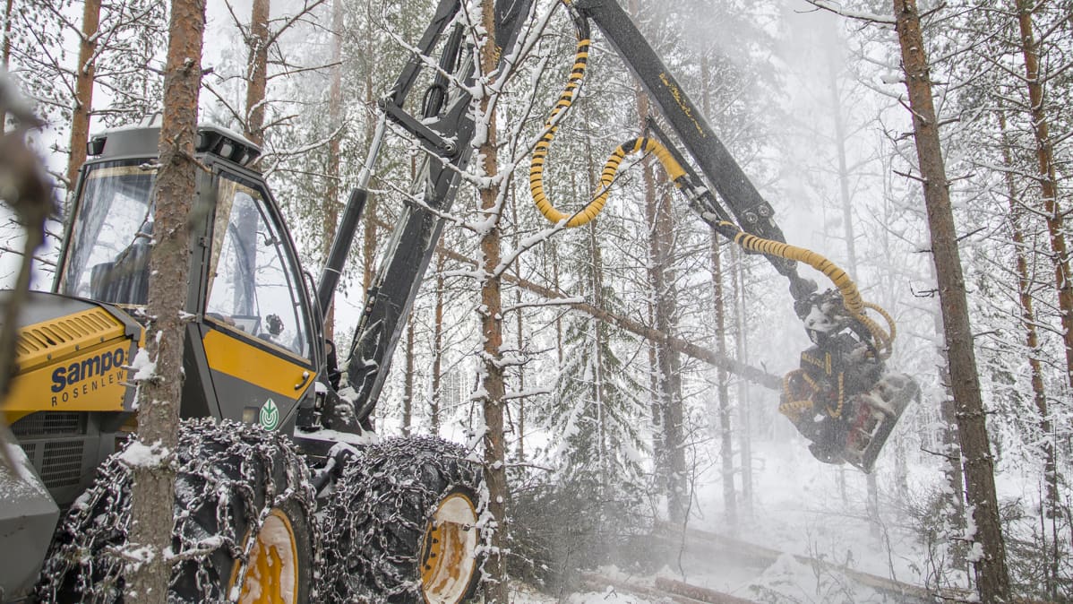 Harvesteri lumisessa metsässä.