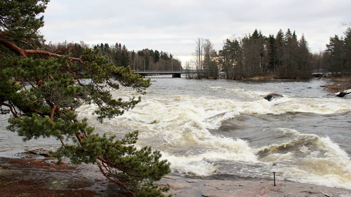 Langinkoski