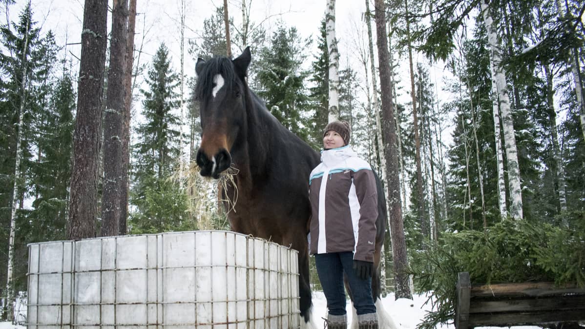 Suomen suurin hevonen Amanda