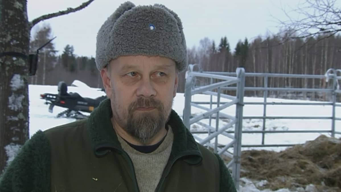 Pertti Hokkanen