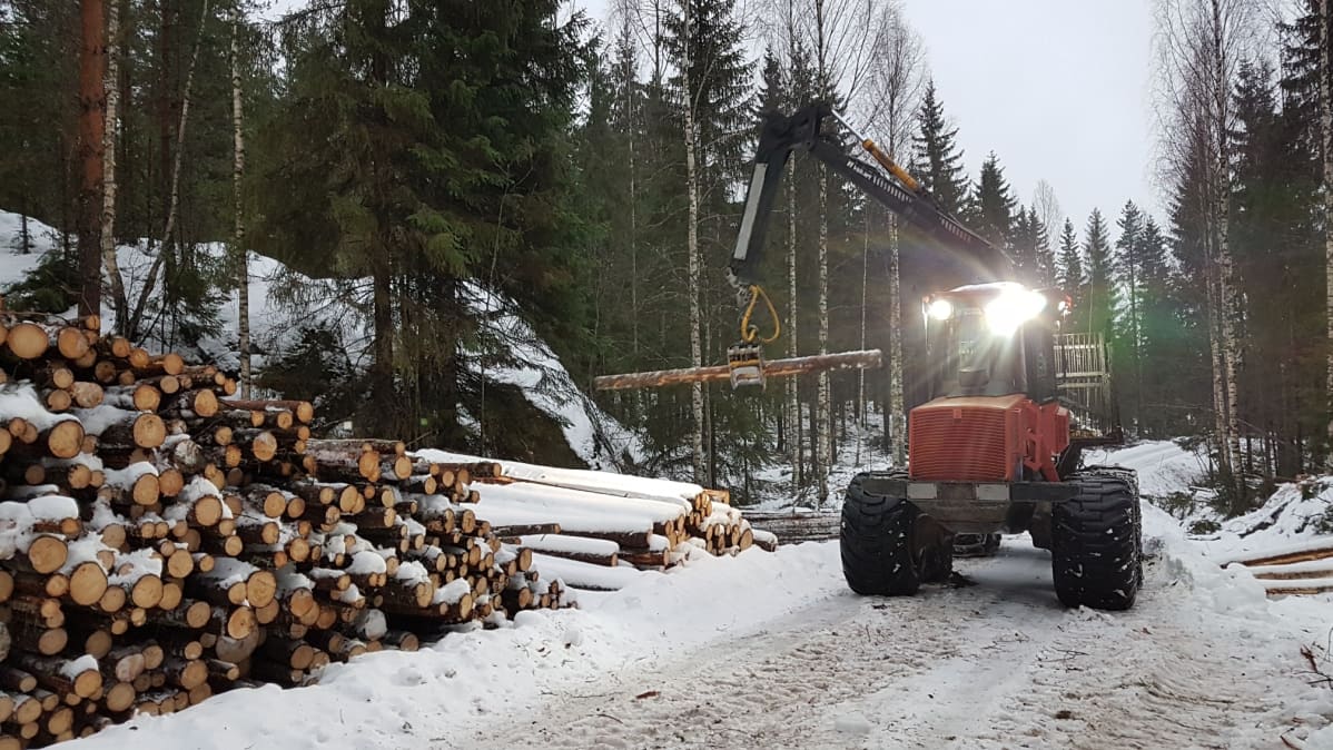 Ajokone metsässä