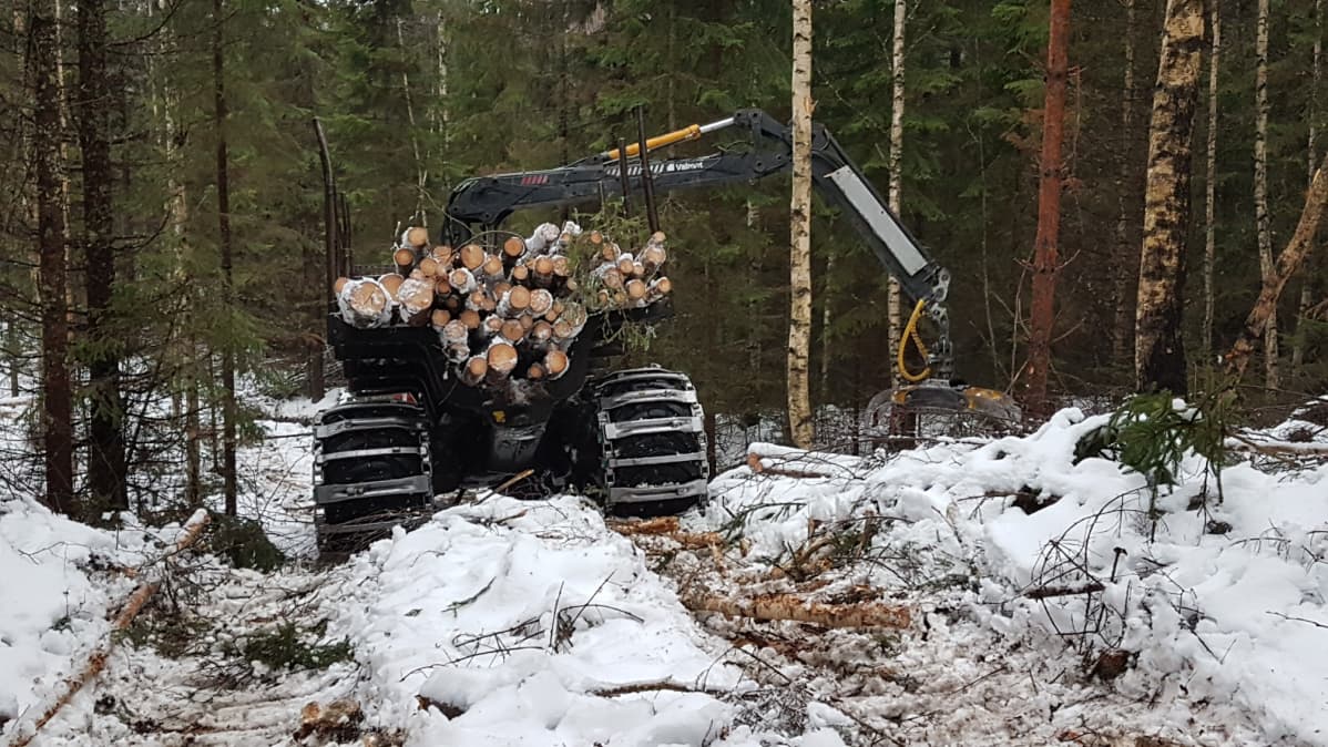 Ajokone metsässä
