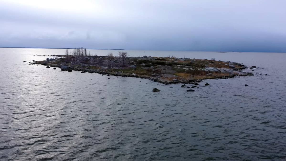 Ilmakuva tyhjästä merimetsojen pesimäsaaresta.