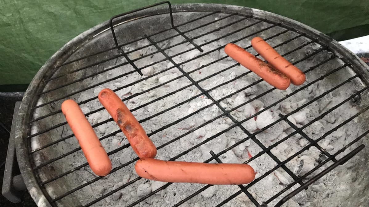 työtaistelun lakkoeväät