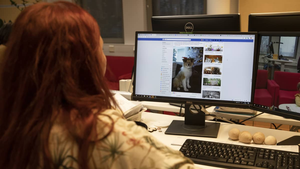 Ilmoitus kadonneesta koirasta Facebookissa.