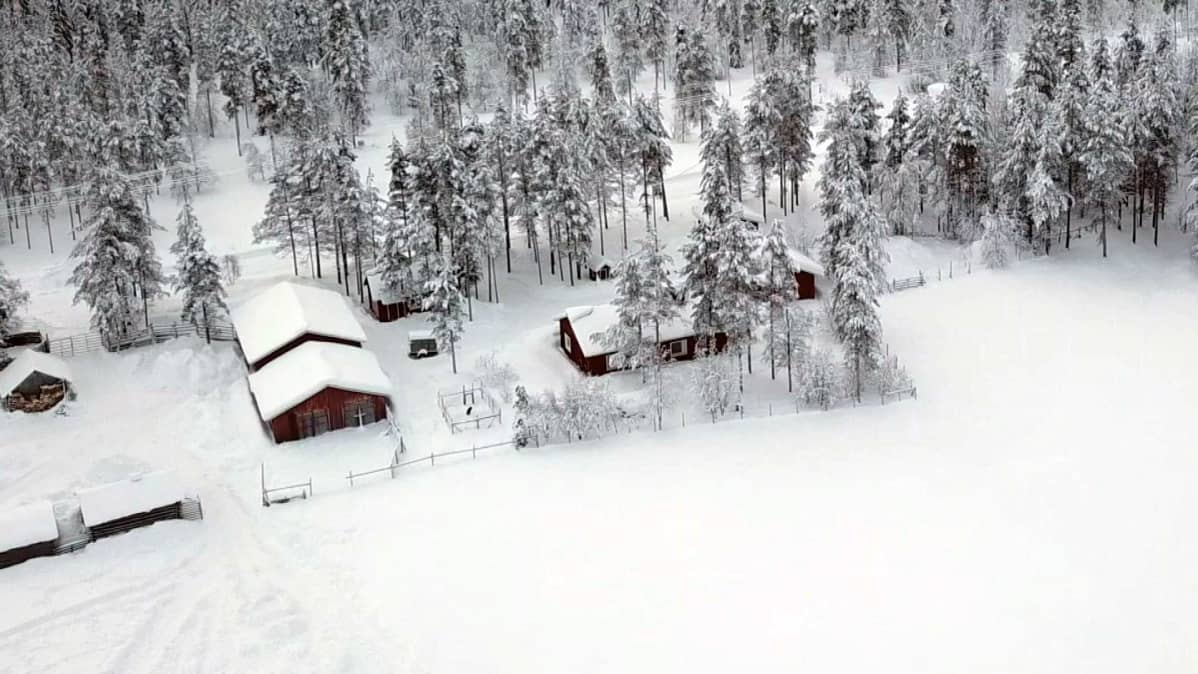 Sattasjokivarsi Sodankylässä Sattasen ja Rajalan välillä