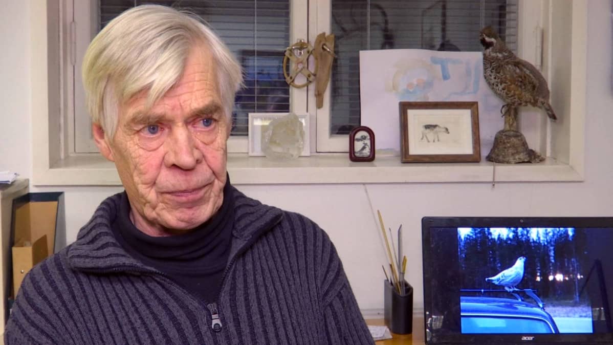Ympäristöneuvos Timo Helle