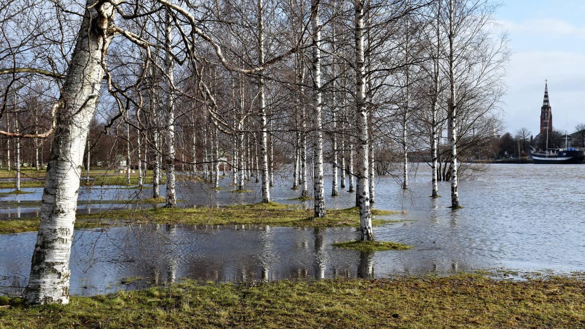 Porin Kirjurinluodossa tulvii.