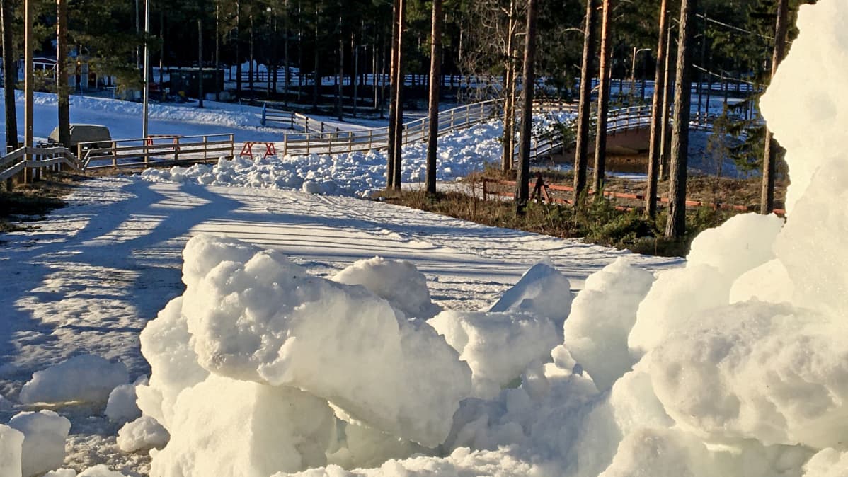 Tuontilunta odottamass atasoitusta Köykkyrin hiihtoladuilla.