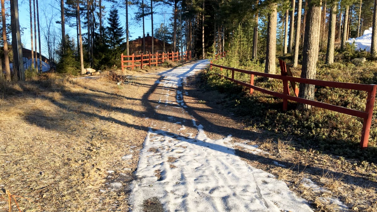 Vähälumista latupohjaa helmikuussa 2020 Köykkyrin hiihtokeskuksessa Kempeleessä.