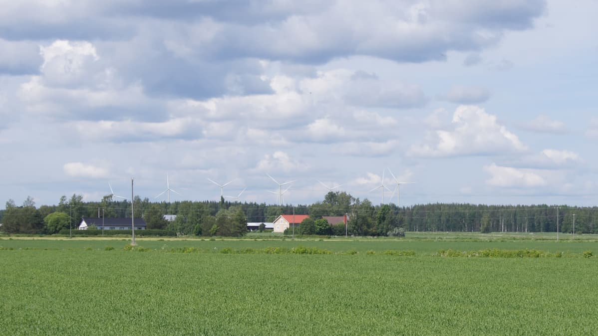 WPD Finlandin kuvamallinnus Ilmajoken Oksivuorelle suunnitelluista tuulivoimaloista.
