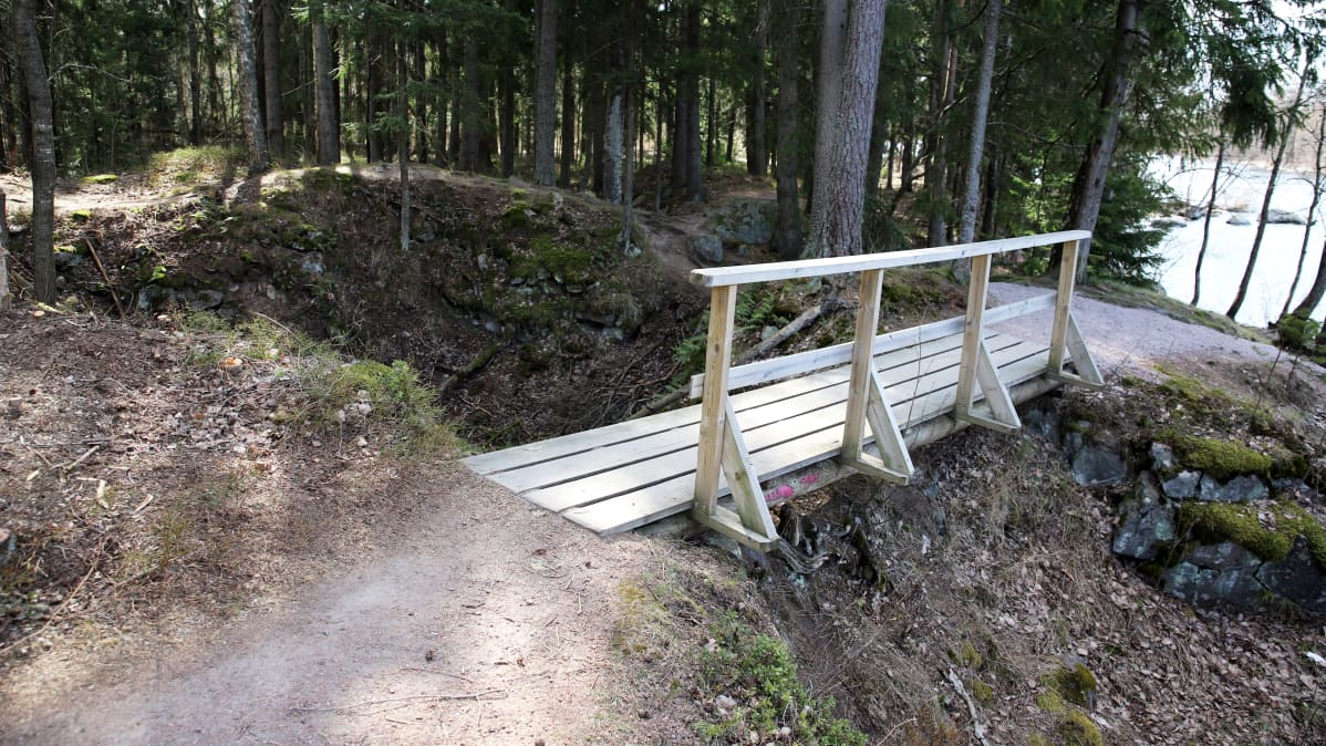 Ensimmäisen maailmansodan aikainen poterorakenne metsässä