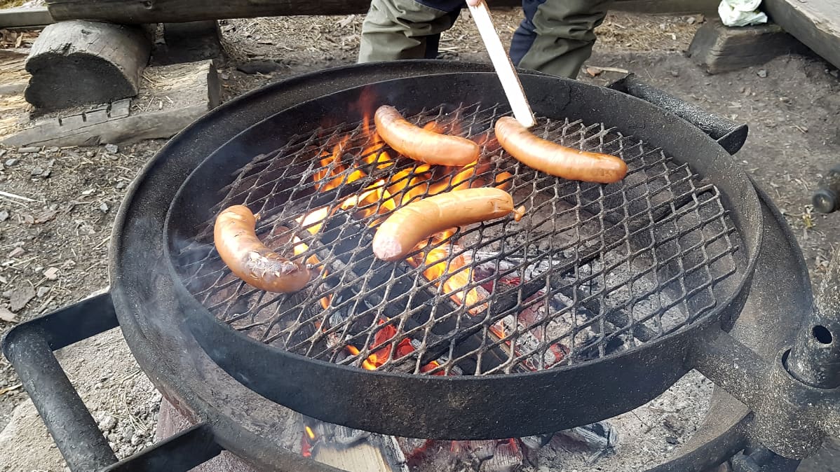 Makkaraa grillataan