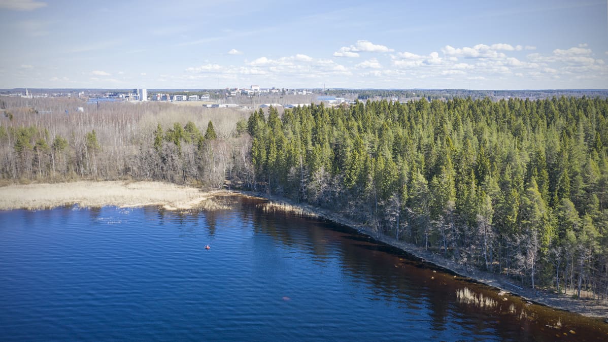 Ilmakuvassa luonnonsuojelualueen takaa pilkottaa kaupunki