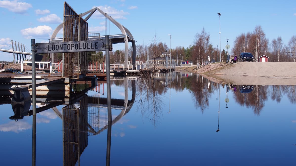 Koivusaaren luontopolun opasteita