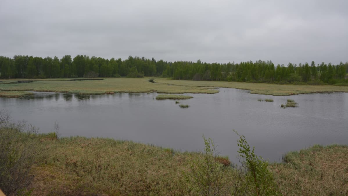 Önkkörin kanava.