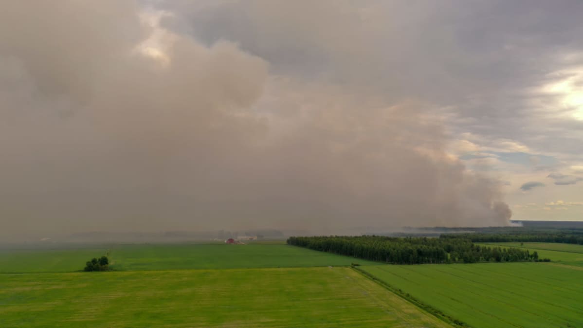 Metsäpalo Muhoksella