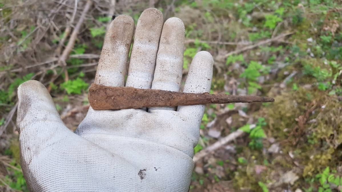 Tasateräinen nuolenkärki