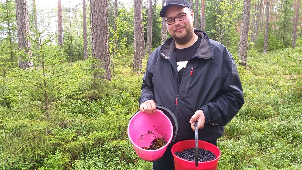 Marjatilallinen Juho Anttila mustikkametsällä