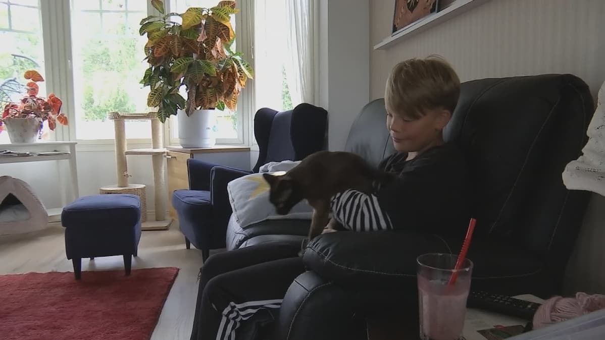 Poika istuu sohvalla kissa sylissään.