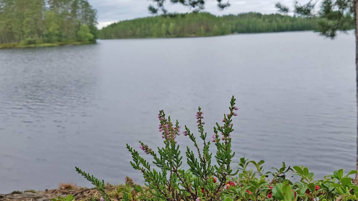 Haarikon kansallispuisto