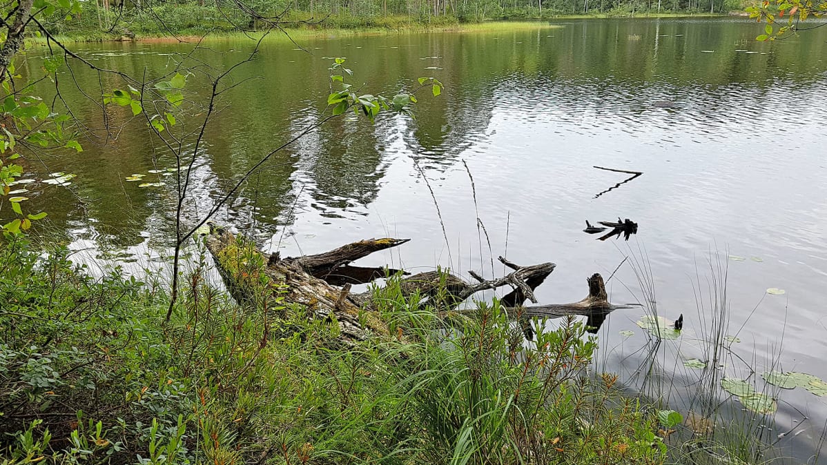 Haarikon kansallispuisto