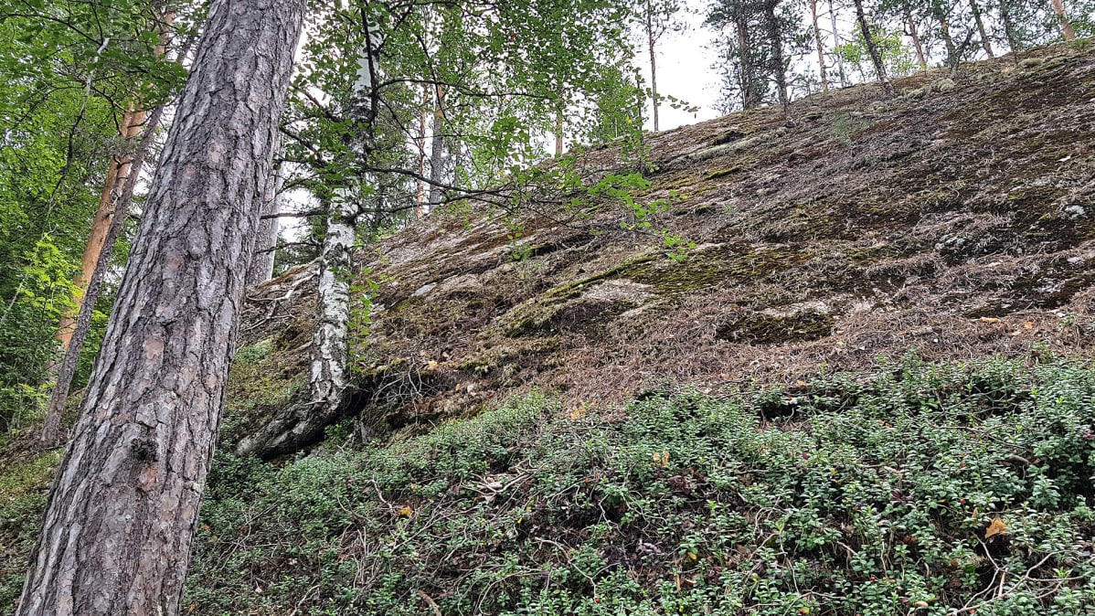 Haarikon kansallispuisto