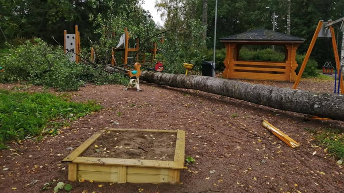 Kaatunut puu leikkipuistossa
