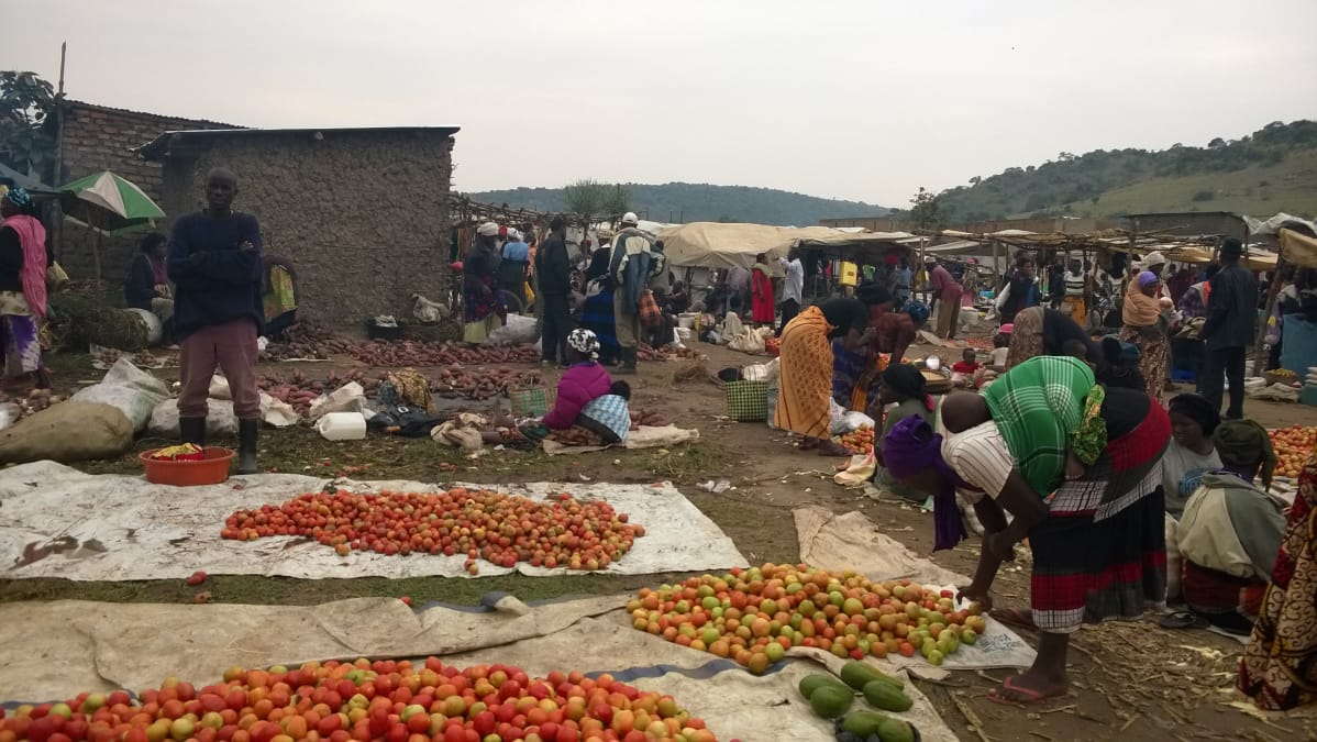 Pakolaisasutusalueista tulee pieniä kaupunkeja. Tässä kaupataan tomaatteja viikottaisilla markkinoilla Nakivalen pakolaisasutusalueella Länsi-Ugandassa.