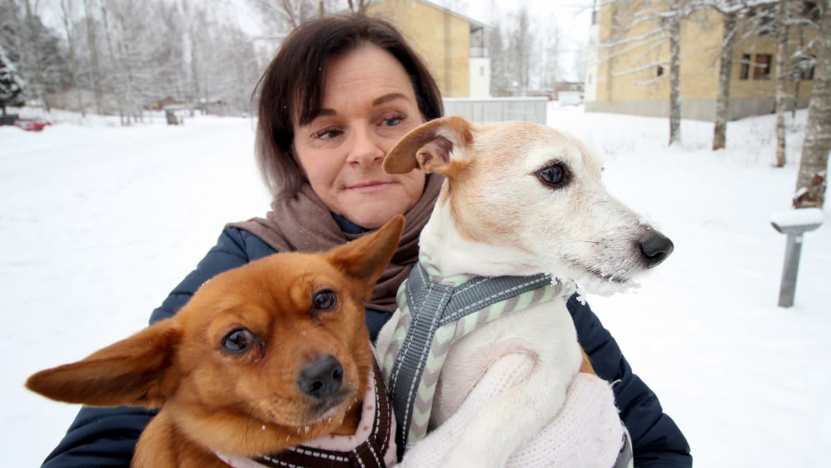 Pirjo Haapsaari-Loisti koirat sylissään