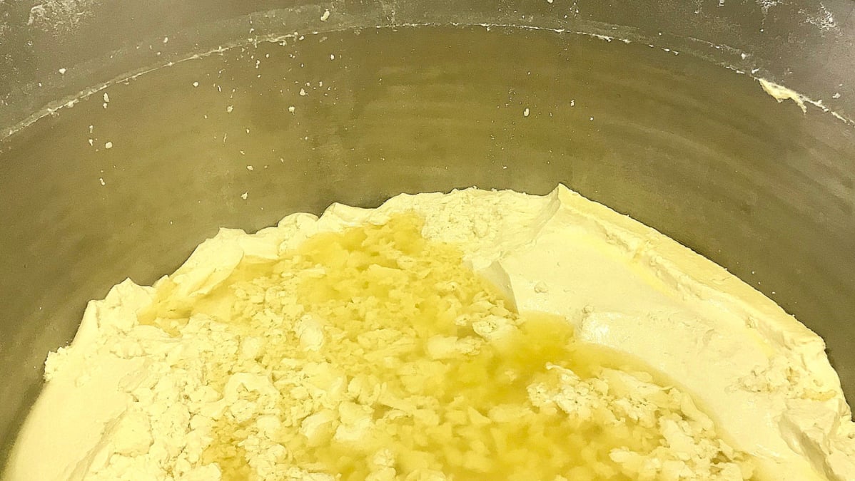 Tofu.