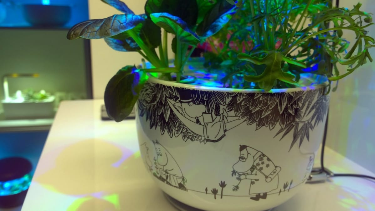 Plantuin Muumi-älypuutarhoja.