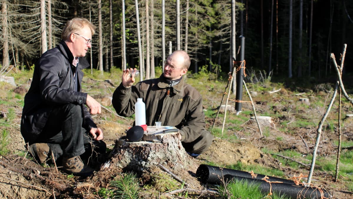 Metsäkeskuksen Yrjö Niskanen ja Timo Häkkinen kirjanpainaja-ansojen äärellä.