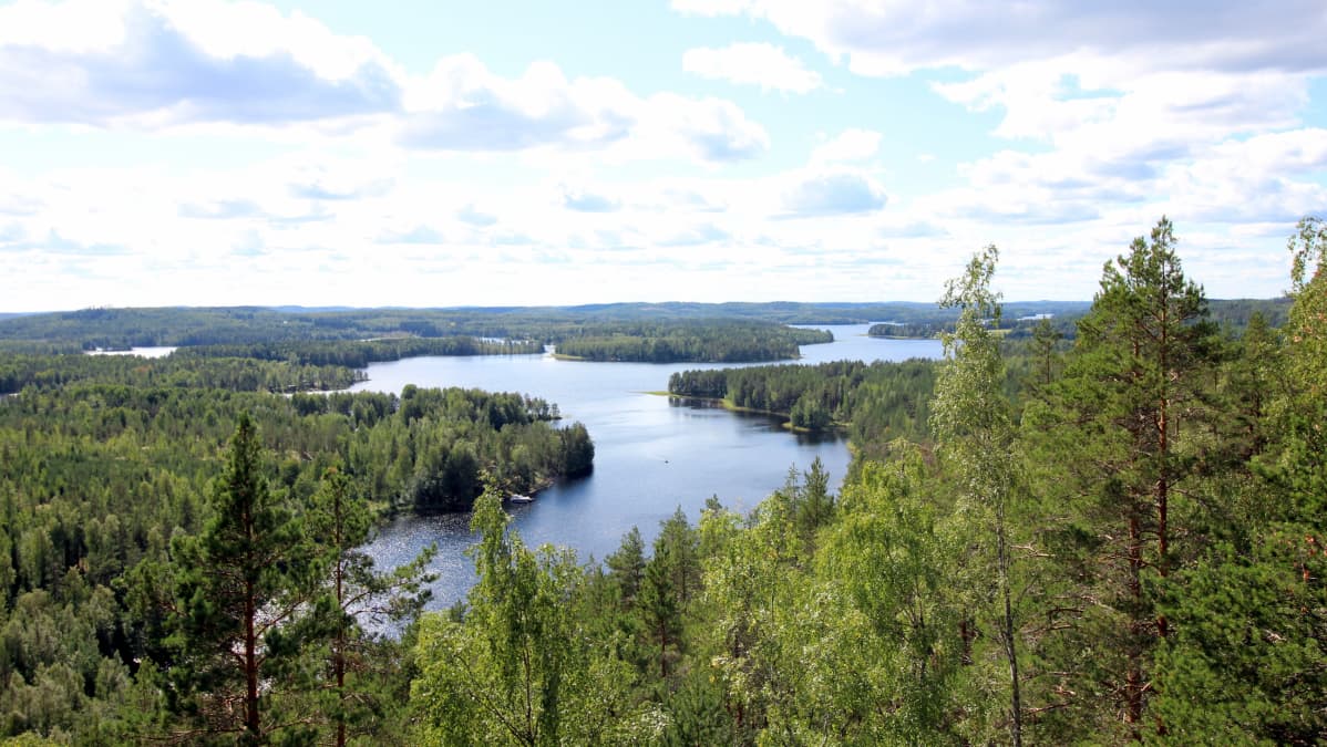Neitvuori Mikkelin Ylivedellä.