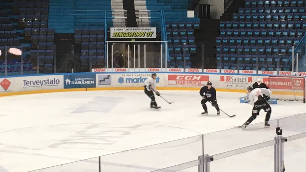 Pelicans harjoittelee Lahden jäähallissa tammikuussa 2019