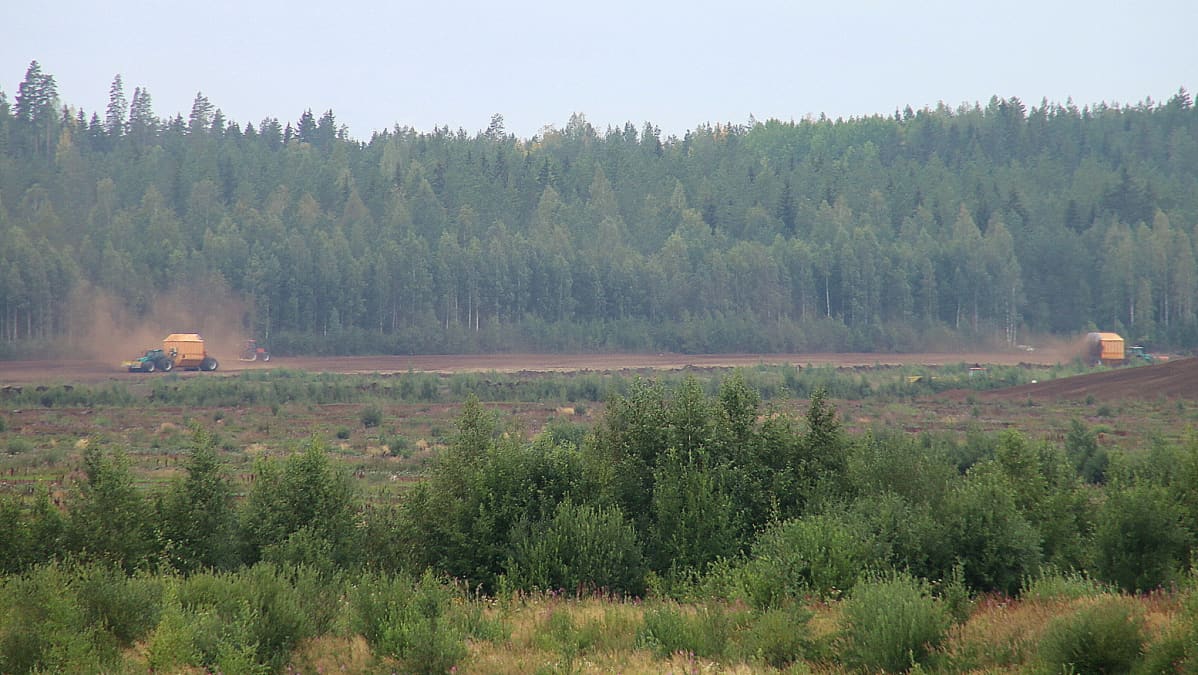 turvetuotantoa Kouvolan Haukkasuolla Utissa