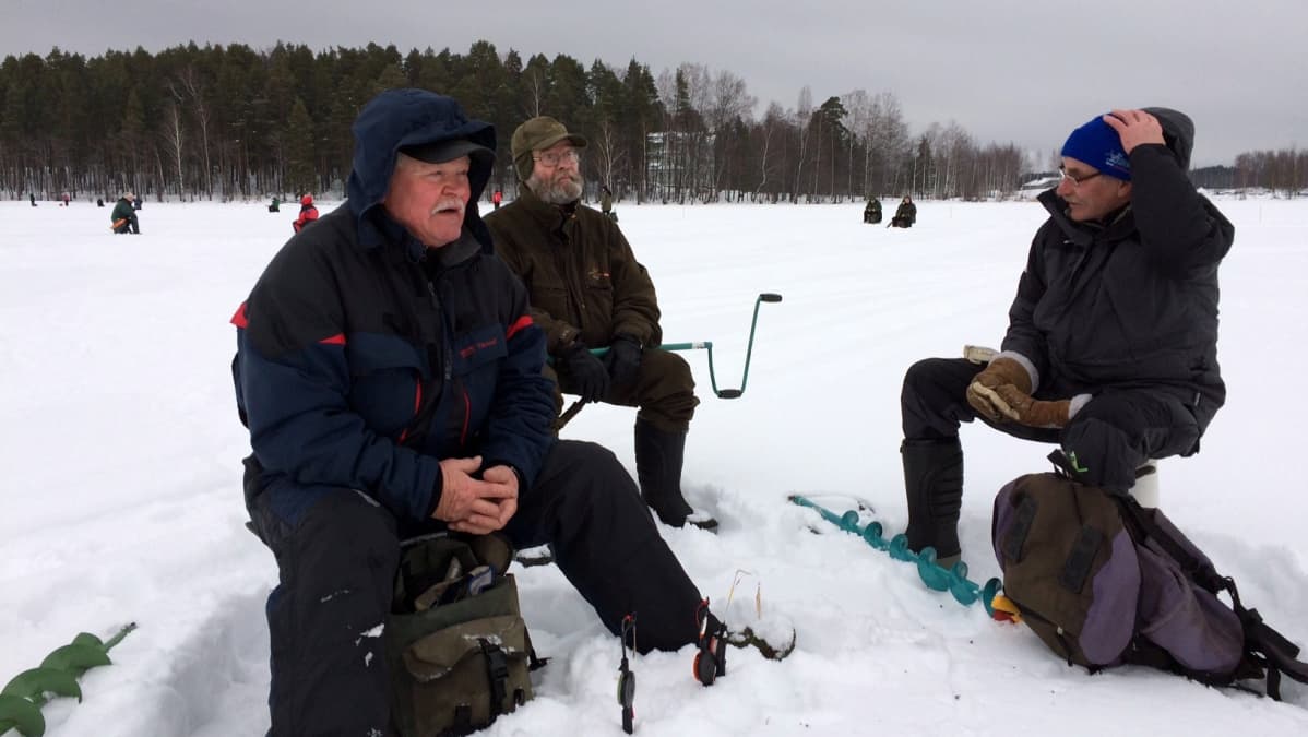 Pertti Melto (vas.), Veikko Timonen ja Esko Seppänen matkasivat SM-pilkkiin Imatralta.