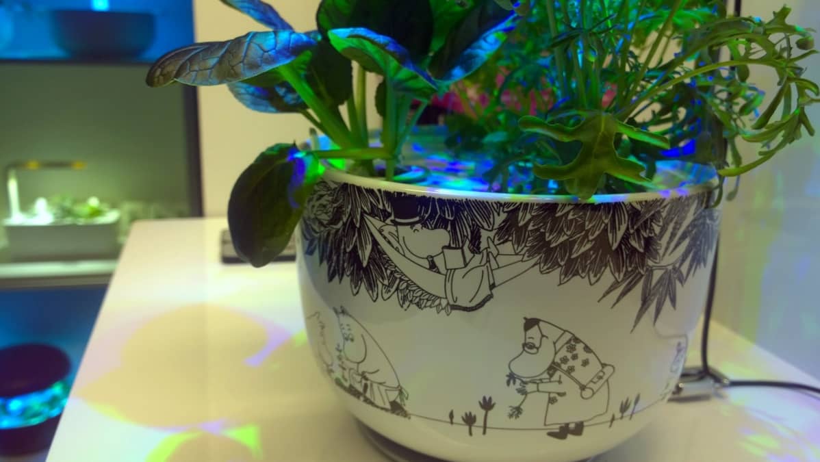 Plantuin Muumi-älypuutarhoja.