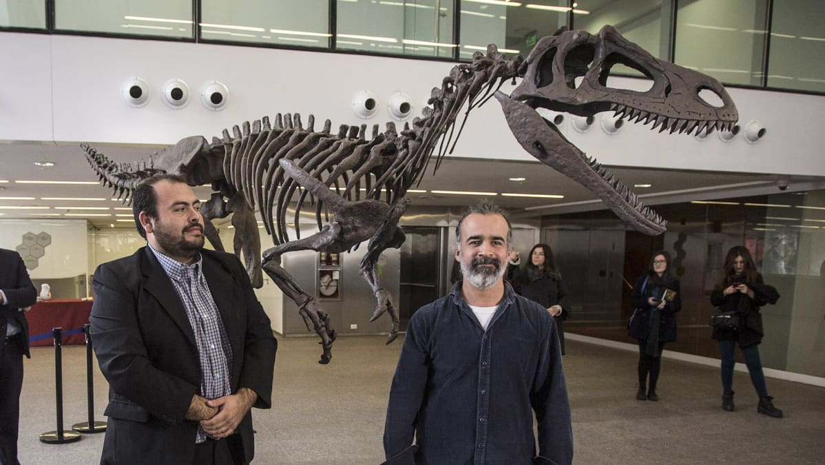 Argentiinalainen paleontologi Sebastián Apesteguía teropodeihin kuuluneen dinosauruksen luurankomallin edessä Buenos Airesissa 13. heinäkuuta 2016.