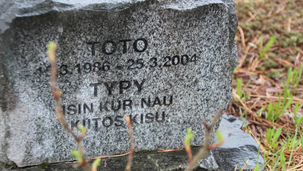 Pieneläinten hautausmaa Kontiolahdessa.