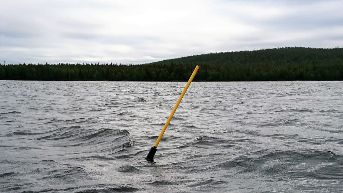 Riippapollari vedessä.