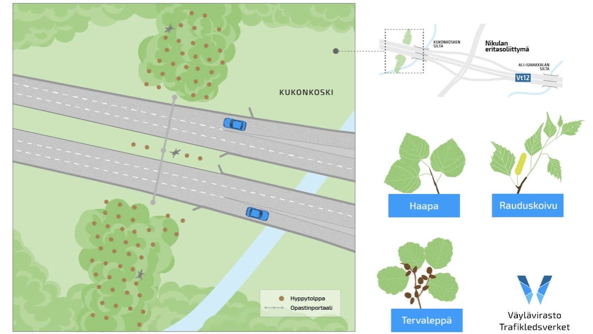 Liito-oravan kartta vihersillasta Kukonkoivussa