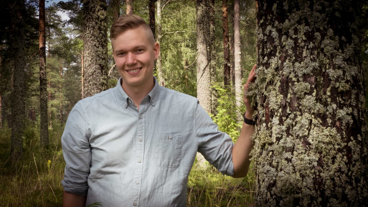 Mies nojaa metsässä kädellään mäntyyn