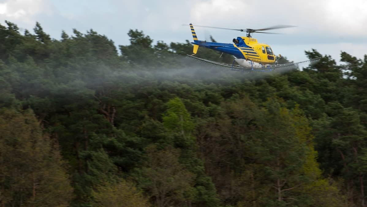 Helikopteri lentää metsän vieressä.