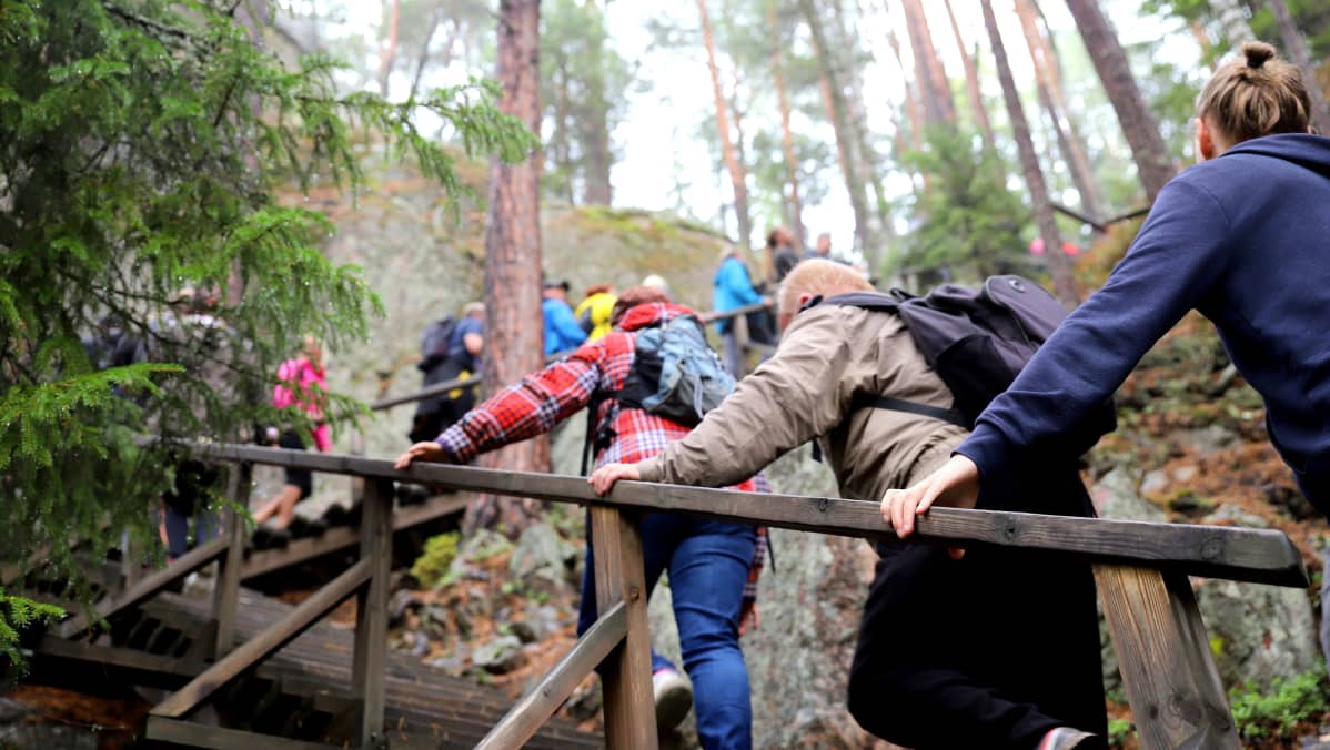 retkeilijöitä jonossa portaissa Repoveden kansallispuistossa
