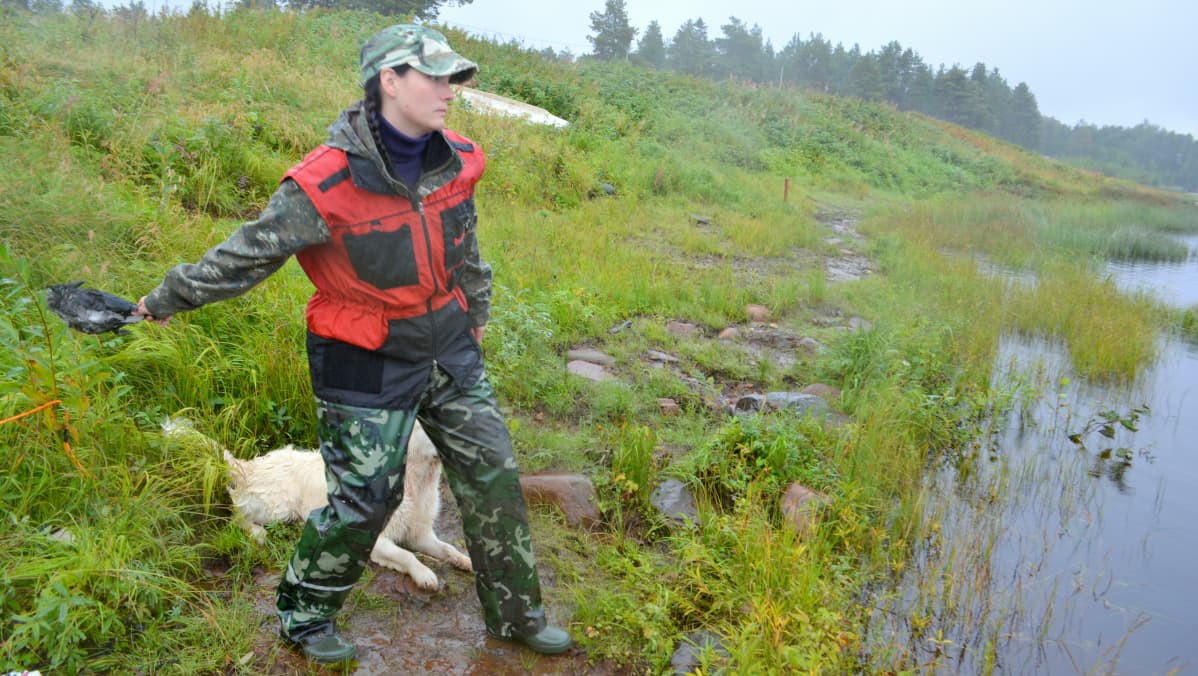 Sini-Marika Matala lintukoiran treenauvasta variksella.