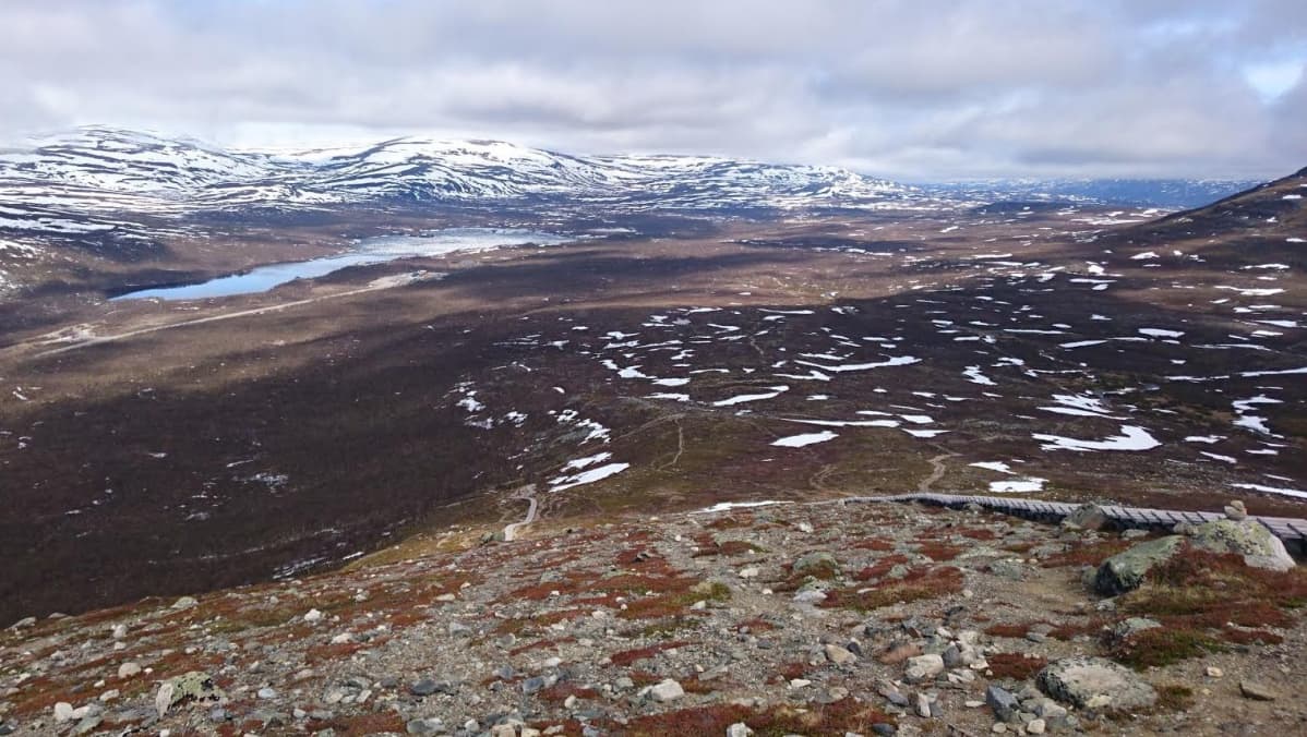 Saana Kilpisjärvi