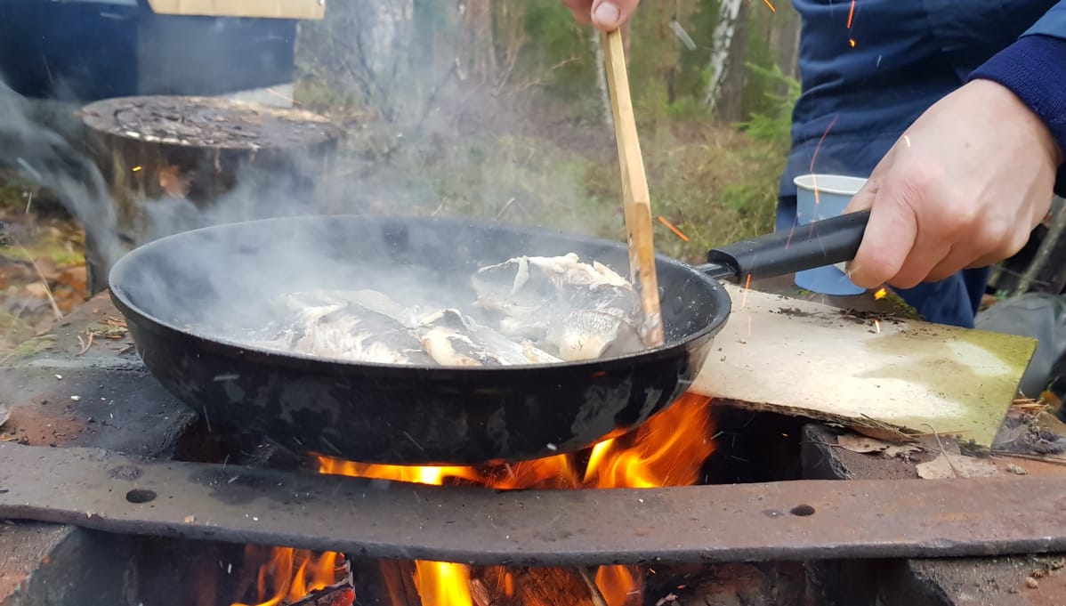 Siikaa nuotiopannulla.