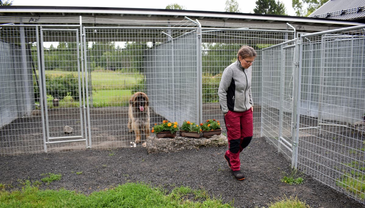 Janet Tervashonka ja hoitokoira ulkohäkkien luona