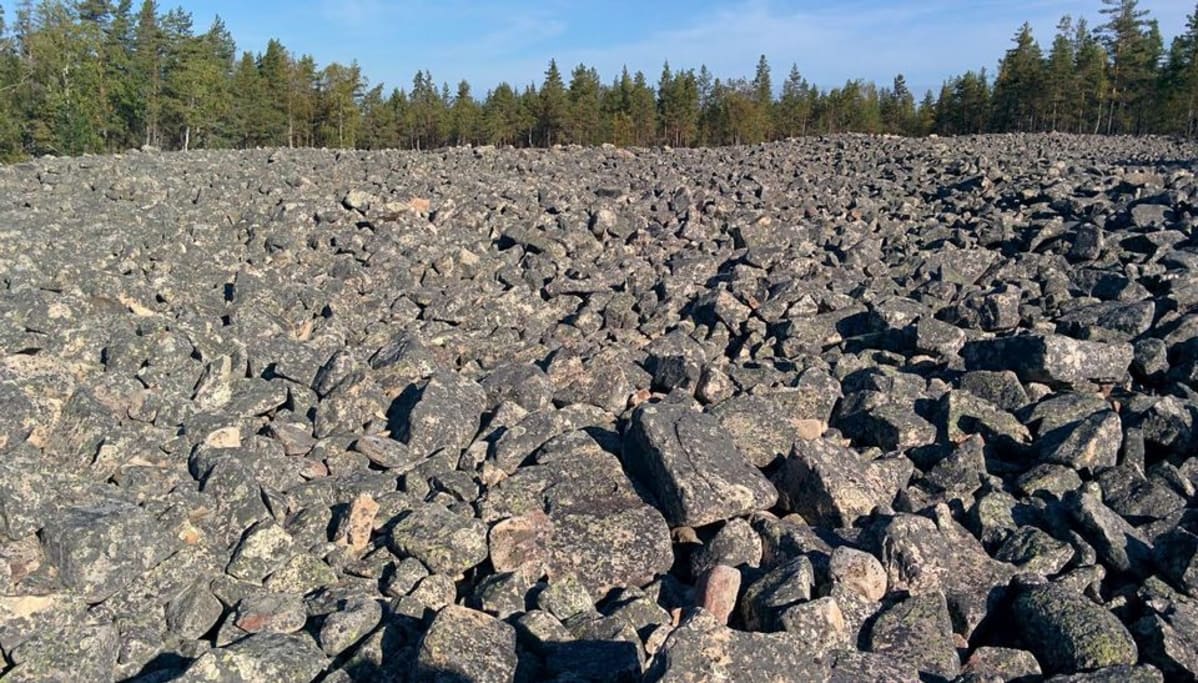 Lauhanvuoren kansallispuistossa sijaitsee näyttävä "pirunpelto" eli jääkauden rantamuodostelma.